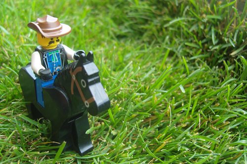 Reiter im Gras reiterimgras